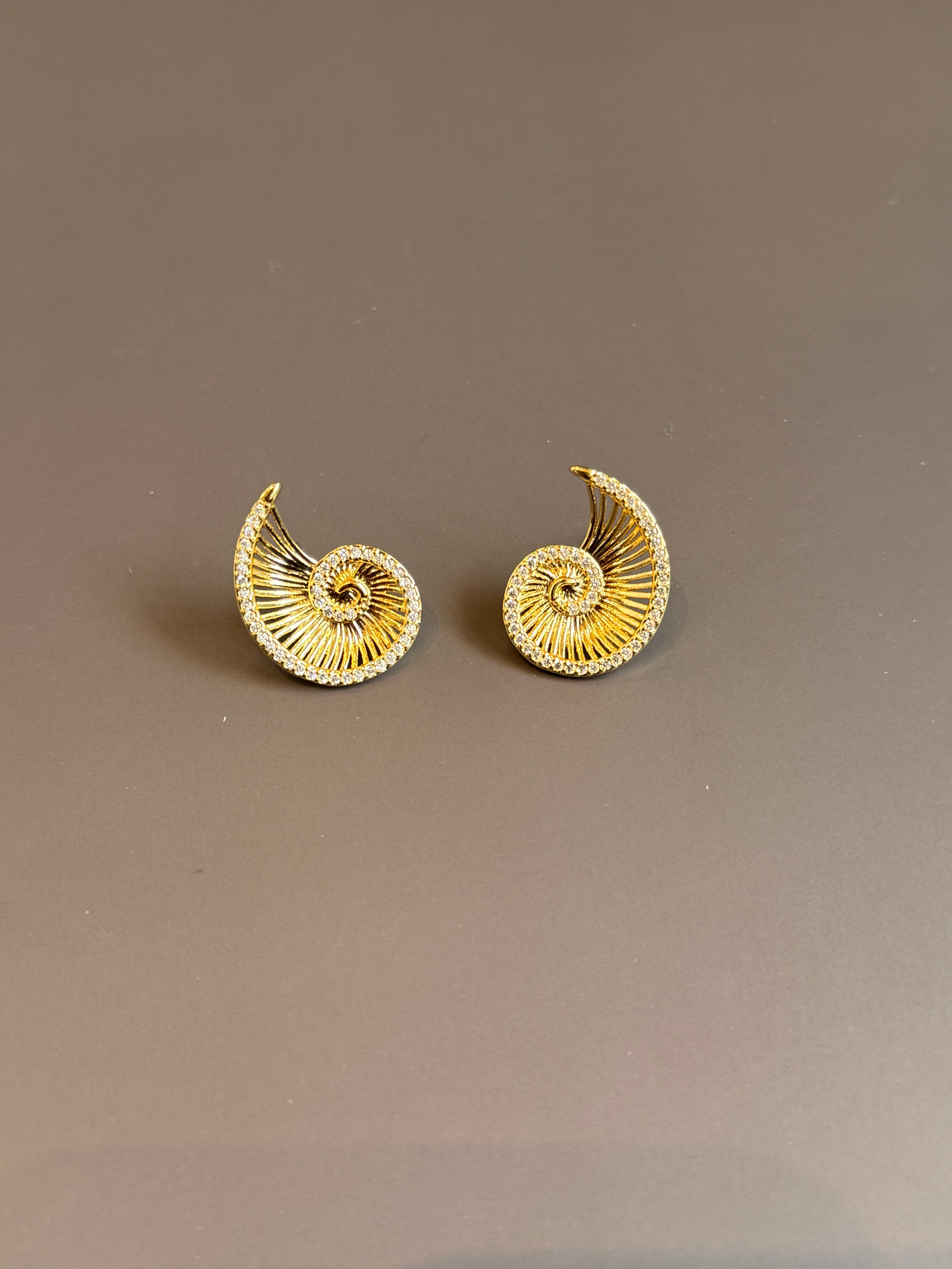 Aretes caracol
