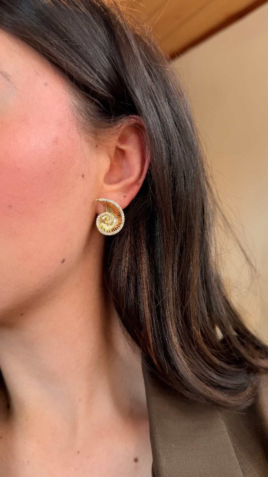 Aretes caracol