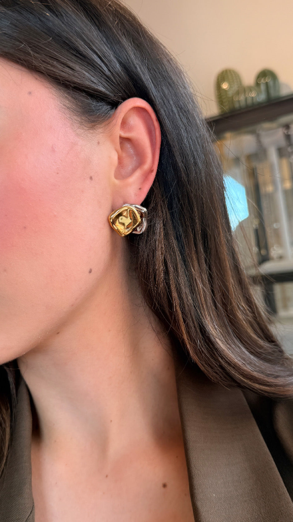 Aretes bicolor