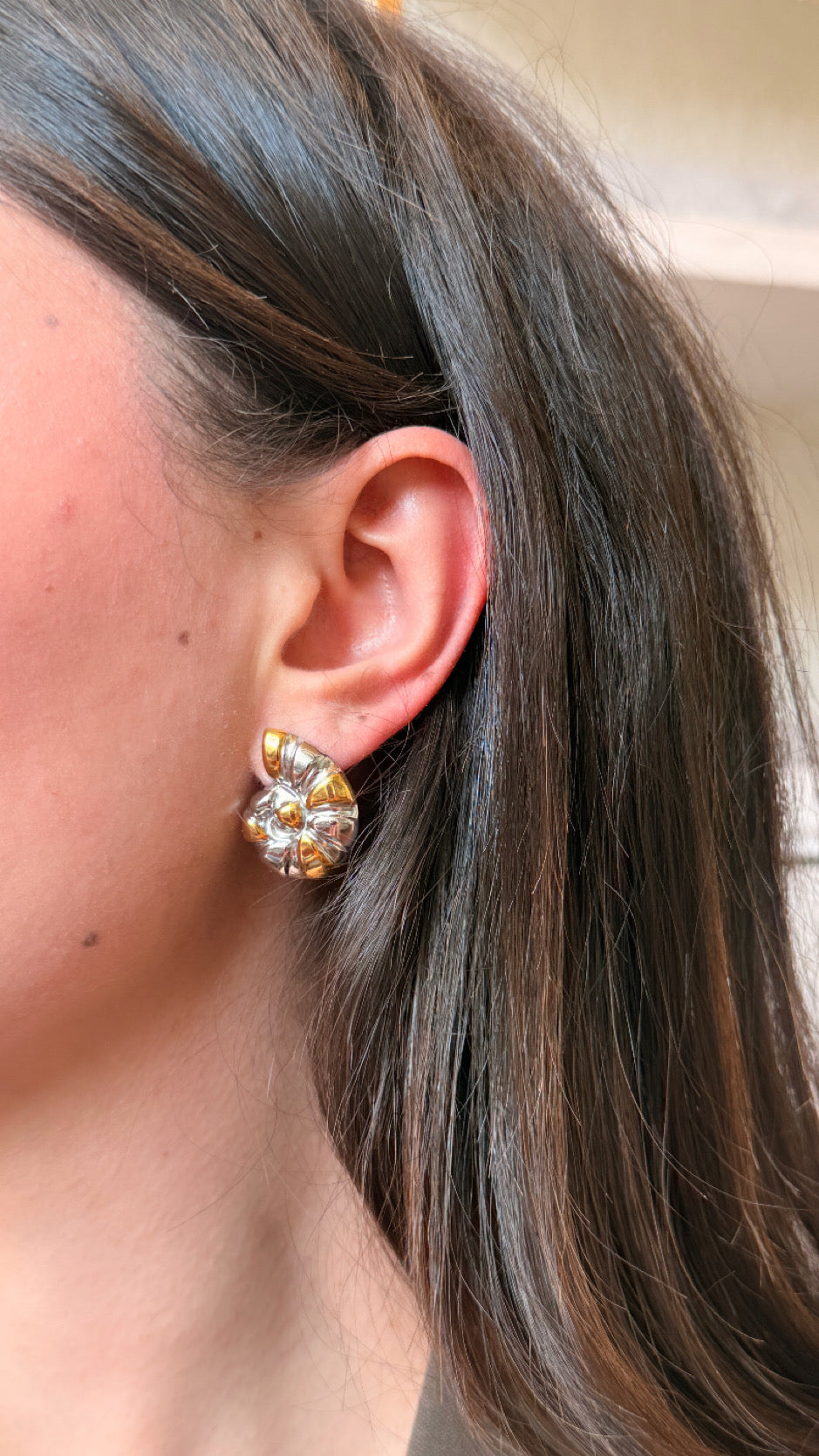 Aretes caracol/bicolor