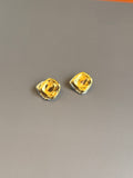 Aretes bicolor