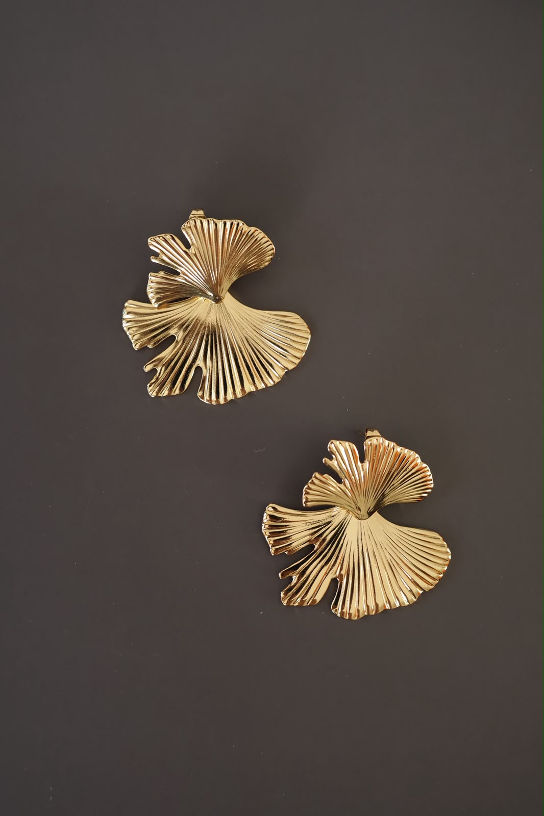 Aretes hoja