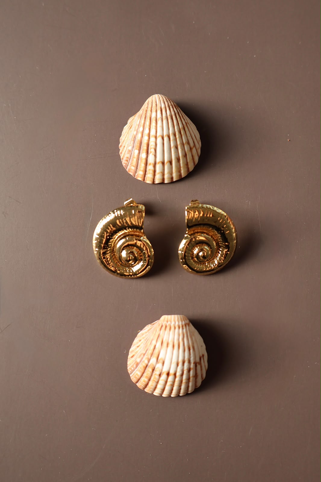 Aretes concha